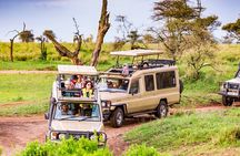 5 Days Private Safari Tour & Maasai village Visit Tanzania