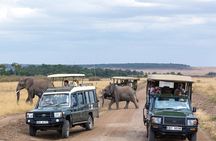 5 Days Private Safari Tour & Maasai village Visit Tanzania