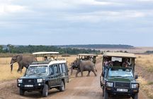4 Days Private Lodge Safari Tour Tanzania