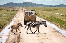 4 days Tanzania Wildlife, Materuni Waterfalls and Chemka Hot-spring &Coffee Tour