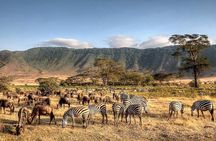 3-Day Safari to Serengeti, Ngorongoro and 1-Day Kilimanjaro Hike