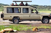 3-Day Safari to Serengeti, Ngorongoro and 1-Day Kilimanjaro Hike