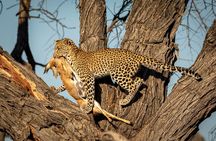 4 days Tanzania Wildlife, Materuni Waterfalls and Chemka Hot-spring &Coffee Tour