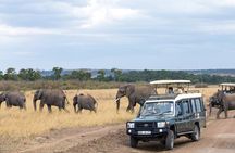 4 days Tanzania Wildlife, Materuni Waterfalls and Chemka Hot-spring &Coffee Tour