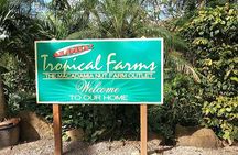 North Shore & Waimea Waterfall