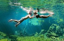 Private Guided Cenotes and Underground River Exploration