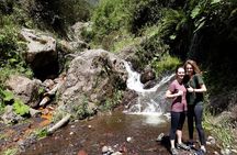 2 Hours Small-Group Horseback Riding Experience in Banos
