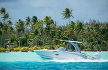 Reef Discovery Private Half Day Lagoon Tour