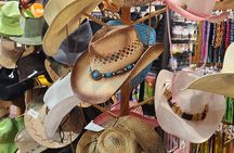 3 Cities & Nature Tour. Art, Tacos, Shop, Cactus, History & More
