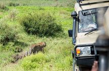 4 Days Private Lodge Safari Tour Tanzania