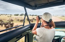 4 Days Private Lodge Safari Tour Tanzania