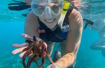 E-Scooter Snorkel With Photo and Video At Turtle Town