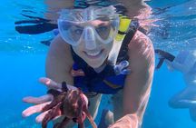 Turtle Town Snorkel with Photo and Video