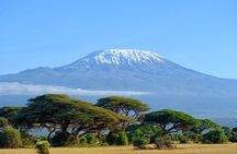  Private Tour to Marangu Waterfalls, Chagga Caves, Coffee tour & Hot Springs