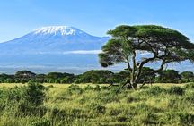  Private Tour to Marangu Waterfalls, Chagga Caves, Coffee tour & Hot Springs