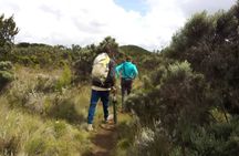Day Hike to Mount Kilimanjaro, Local experience and Chagga Culture