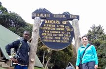 Day Hike to Mount Kilimanjaro, Local experience and Chagga Culture