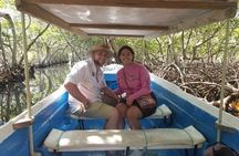 Mangrove Tunnel, Garifuna village,food tasting,wildlife encounter