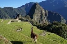 1 Day Tour to Machu Picchu by Train (group service)