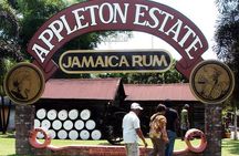 Appleton Rum Tour and Floyd’s Pelican Bar from Montego Bay Hotels and Villas