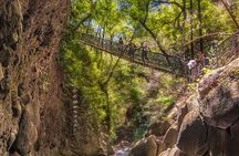 Rincon de la vieja Volcano Hike, Oropendola Waterfall, Hot Springs & Lunch Combo