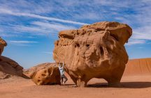 Full Day Jeep & Camel Tour No stay