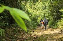 Phuket Jungle Trekking Experience at Khao Phra Taew National Park