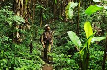 Phuket Jungle Trekking Experience at Khao Phra Taew National Park