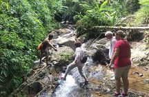 Phuket Jungle Trekking Experience at Khao Phra Taew National Park
