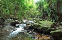 Phuket Jungle Trekking Experience at Khao Phra Taew National Park