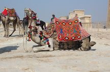 Private Half Day Tour To Giza Pyramids with camel riding 