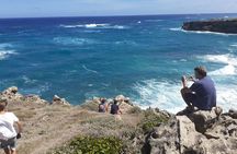 Tour Barbados Your Way