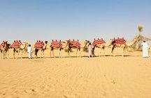 1 hour Private Camel Ride in Deep Desert