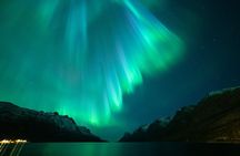 Northern Lights Chase by Bus in Tromso