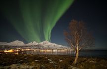 Northern Lights Chase by Bus in Tromso