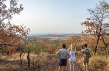 Full-Day Serengeti Tour from Mwanza