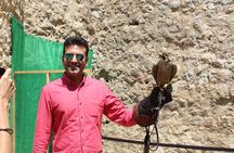 Private Day Tour to Iron Gate Gorge and Golubac Fortress