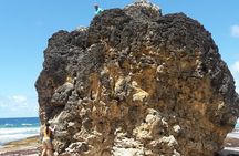 Tour Barbados Your Way
