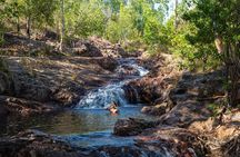 Litchfield National Park Waterfalls & Wildlife Adventure Tour
