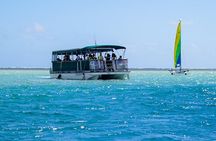 Kaneohe Sandbar Snorkeling Tour - 1st Tour