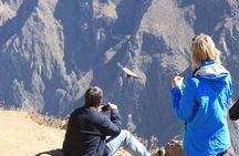 2-Day Colca Canyon, Vicuna Reserve and Condors from Arequipa