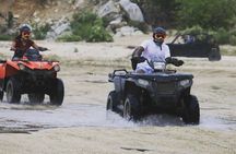 Ride through Bajas wild beauty—from desert trails to ocean views.