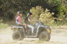 Baja's ATV Desert and Beach Tour