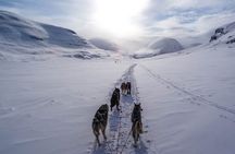Fun & Easy Dog Sledding Adventure - Early Bird 08:10