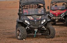 1/2 Day Buggy Marrakech Palmeraie