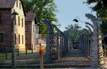 Auschwitz & Birkenau Live Guide Tour Entrance Ticket