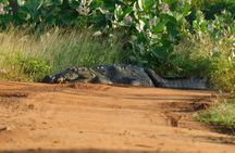 Yala National Park (block 5 & 6) Safari PRIVATE Tours