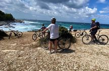 Kamenjak Peninsula Bike Tour and Optional Wine Tasting from Pula