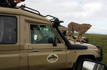 7-Day Group Camping Tarangire/Serengeti/Ngorongoro/lake Manyara