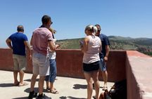 Marrakech Ourika & Agafay: Waterfalls Camels Quads &Desert Dining